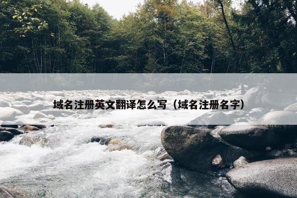 域名注册英文翻译怎么写（域名注册名字）