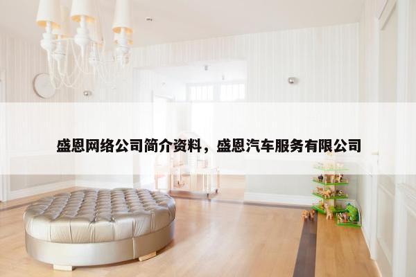 盛恩网络公司简介资料，盛恩汽车服务有限公司