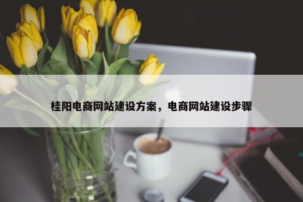 桂阳电商网站建设方案，电商网站建设步骤