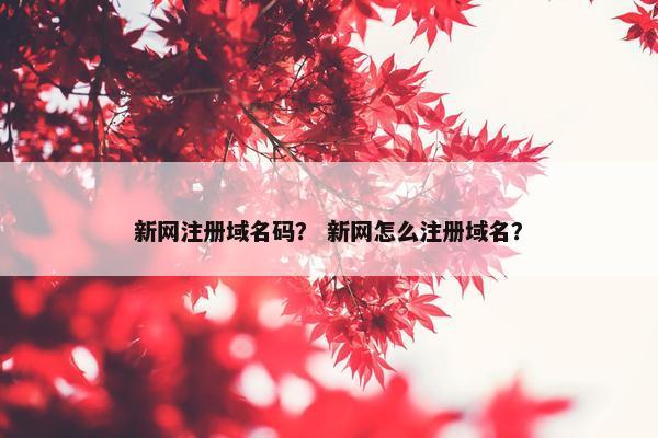 新网注册域名码？ 新网怎么注册域名？
