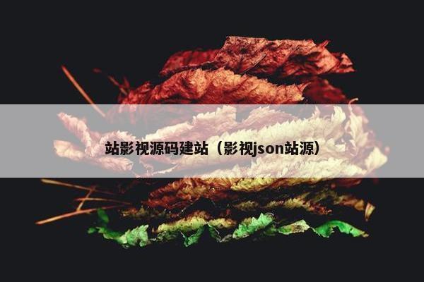 站影视源码建站（影视json站源）