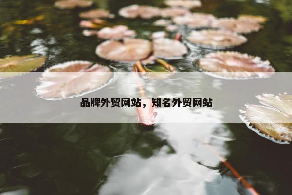 品牌外贸网站，知名外贸网站