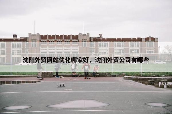 沈阳外贸网站优化哪家好，沈阳外贸公司有哪些