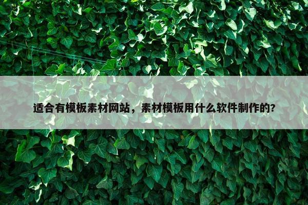 适合有模板素材网站，素材模板用什么软件制作的?