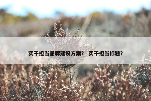 实干担当品牌建设方案？ 实干担当标题？