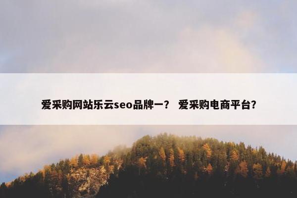 爱采购网站乐云seo品牌一？ 爱采购电商平台？