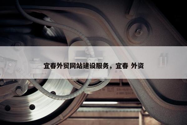 宜春外贸网站建设服务，宜春 外资
