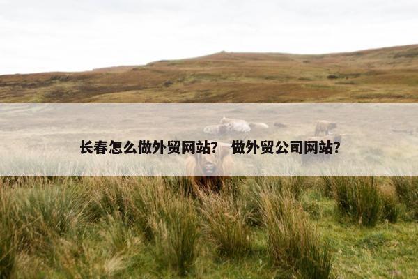 长春怎么做外贸网站？ 做外贸公司网站？