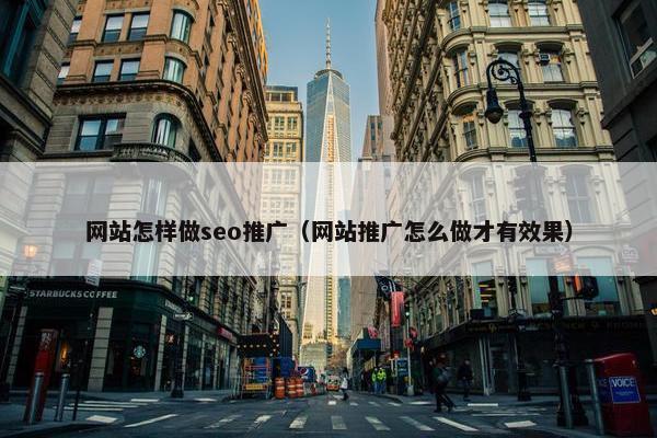 网站怎样做seo推广（网站推广怎么做才有效果）