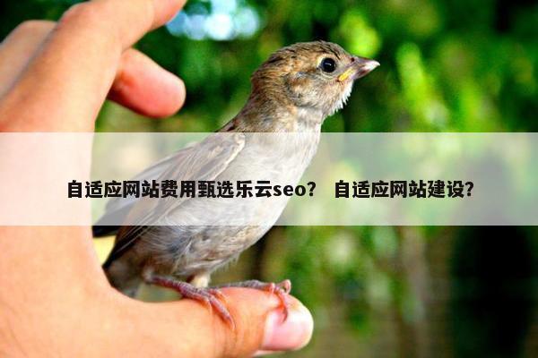 自适应网站费用甄选乐云seo？ 自适应网站建设？