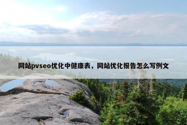 网站pvseo优化中健康表，网站优化报告怎么写例文