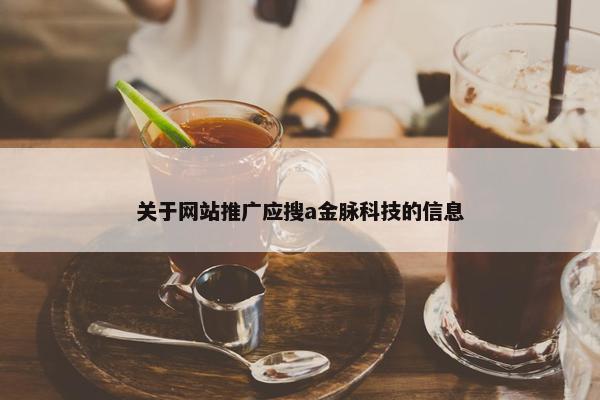 关于网站推广应搜a金脉科技的信息