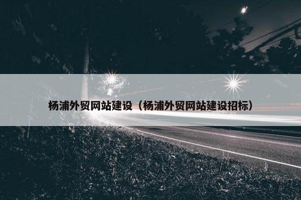 杨浦外贸网站建设（杨浦外贸网站建设招标）