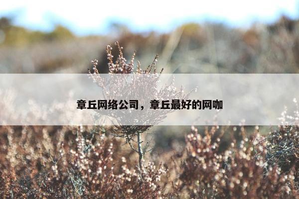 章丘网络公司，章丘最好的网咖