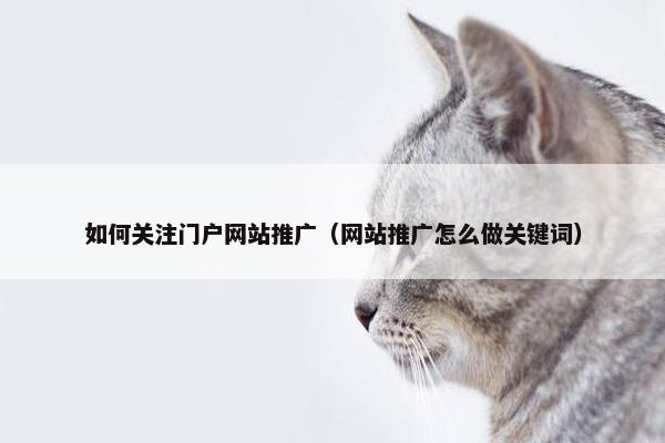 如何关注门户网站推广（网站推广怎么做关键词）
