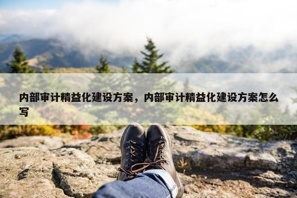内部审计精益化建设方案，内部审计精益化建设方案怎么写