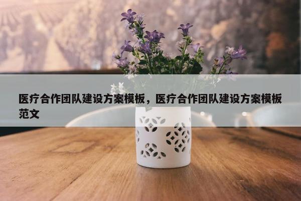 医疗合作团队建设方案模板，医疗合作团队建设方案模板范文