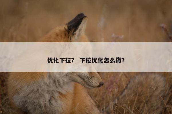 优化下拉？ 下拉优化怎么做？