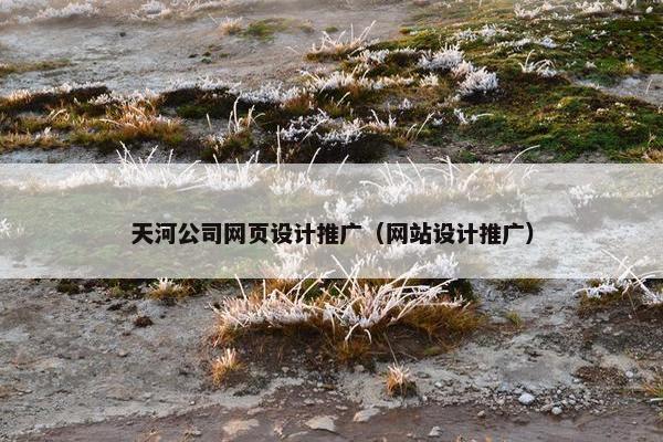 天河公司网页设计推广（网站设计推广）