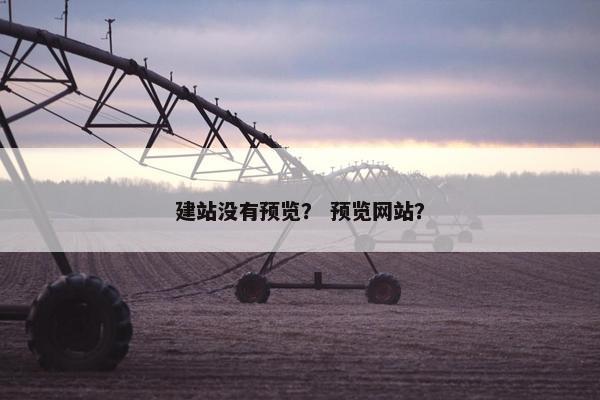 建站没有预览？ 预览网站？