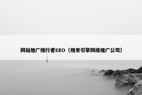 网站推广搜行者SEO（搜索引擎网络推广公司）