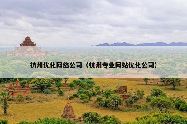 杭州优化网络公司（杭州专业网站优化公司）