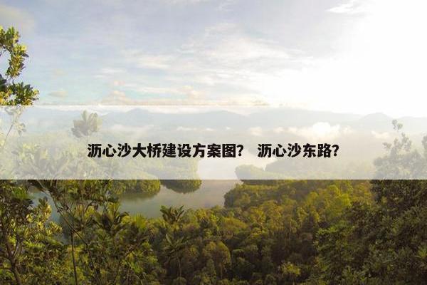 沥心沙大桥建设方案图？ 沥心沙东路？