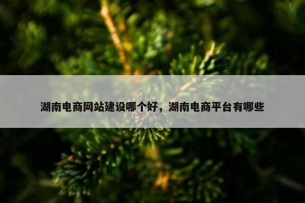 湖南电商网站建设哪个好，湖南电商平台有哪些