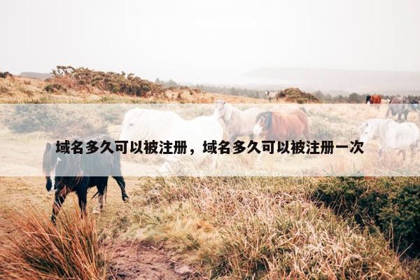 域名多久可以被注册，域名多久可以被注册一次