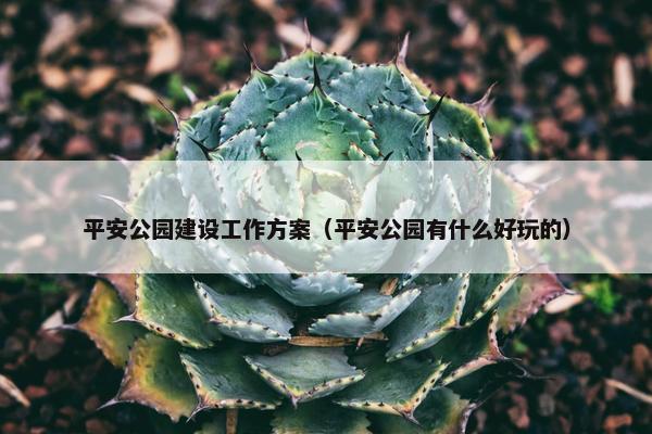 平安公园建设工作方案（平安公园有什么好玩的）