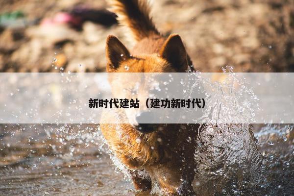 新时代建站（建功新时代）