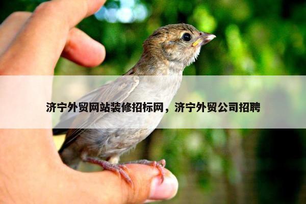 济宁外贸网站装修招标网，济宁外贸公司招聘