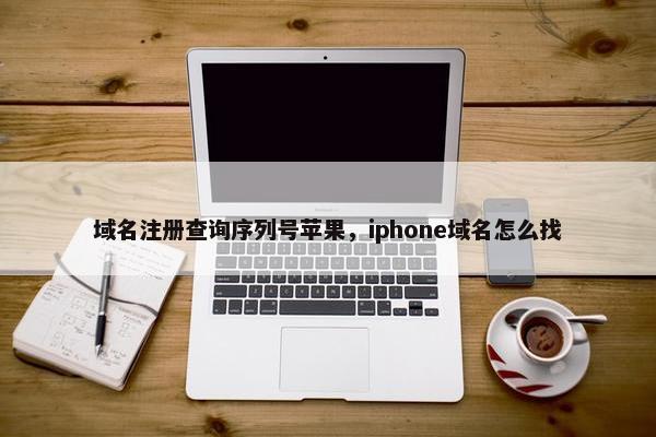 域名注册查询序列号苹果，iphone域名怎么找