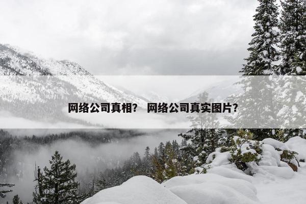 网络公司真相？ 网络公司真实图片？