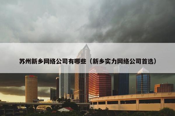 苏州新乡网络公司有哪些（新乡实力网络公司首选）