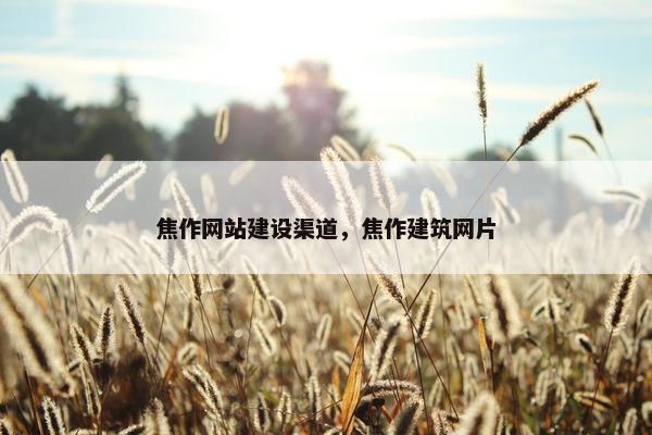 焦作网站建设渠道，焦作建筑网片