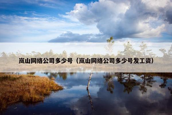 岚山网络公司多少号（岚山网络公司多少号发工资）