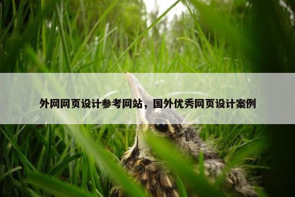 外网网页设计参考网站，国外优秀网页设计案例