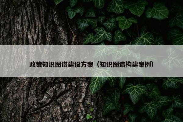 政策知识图谱建设方案（知识图谱构建案例）