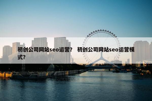 初创公司网站seo运营？ 初创公司网站seo运营模式？