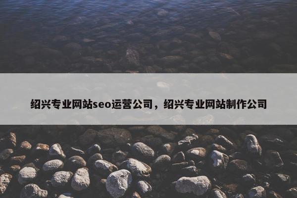 绍兴专业网站seo运营公司，绍兴专业网站制作公司