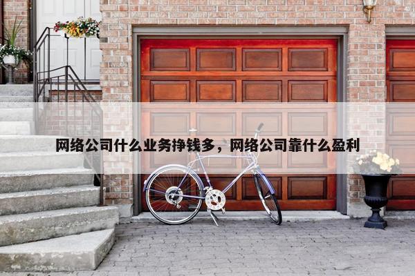 网络公司什么业务挣钱多，网络公司靠什么盈利