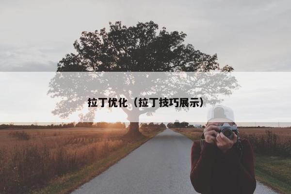 拉丁优化（拉丁技巧展示）