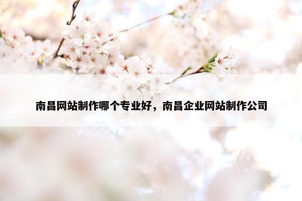 南昌网站制作哪个专业好，南昌企业网站制作公司