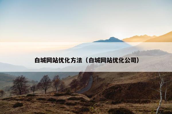 白城网站优化方法（白城网站优化公司）