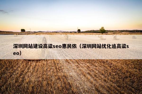 深圳网站建设高粱seo惠民依（深圳网站优化追高粱seo）