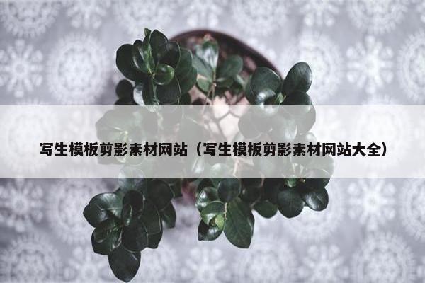 写生模板剪影素材网站（写生模板剪影素材网站大全）
