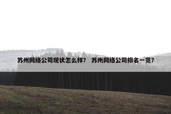苏州网络公司现状怎么样？ 苏州网络公司排名一览？