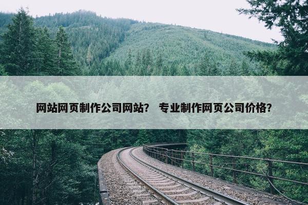 网站网页制作公司网站？ 专业制作网页公司价格？