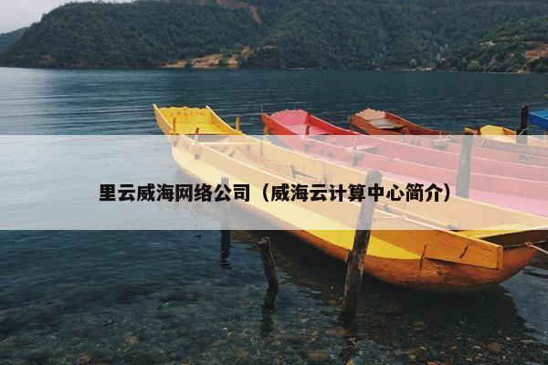 里云威海网络公司（威海云计算中心简介）